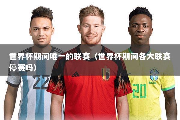 世界杯期间唯一的联赛(世界杯期间各大联赛停赛吗)