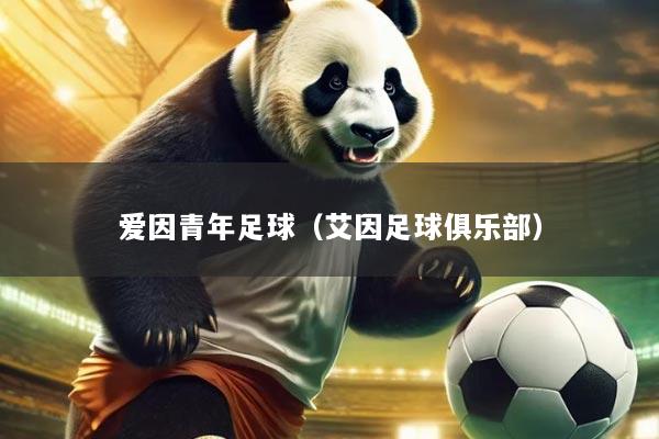 爱因青年足球(艾因足球俱乐部)