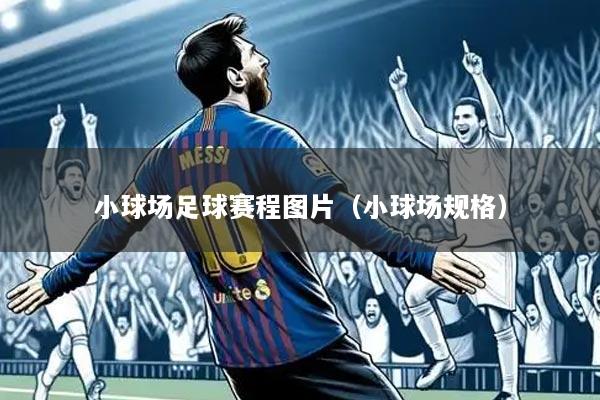 小球场足球赛程图片(小球场规格)