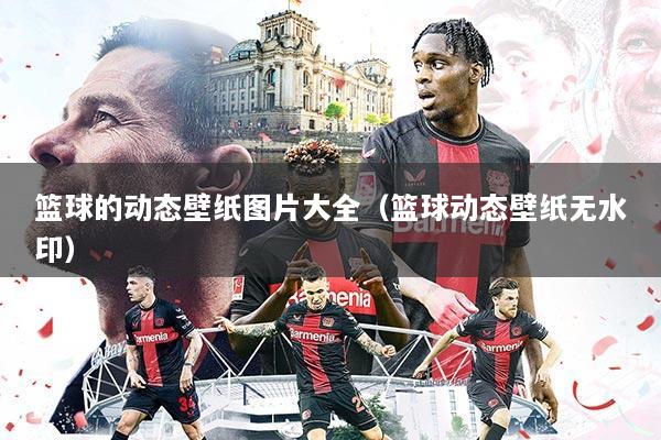 篮球的动态壁纸图片大全(篮球动态壁纸无水印)