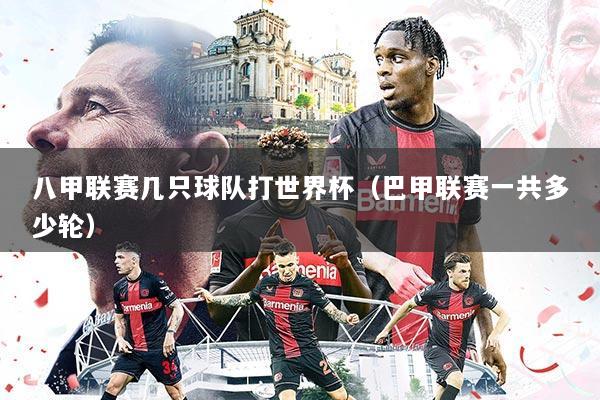 八甲联赛几只球队打世界杯（巴甲联赛一共多少轮）