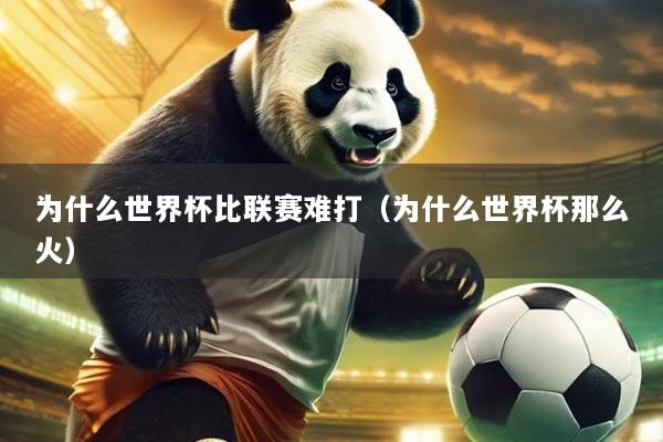 为什么世界杯比联赛难打(为什么世界杯那么火)
