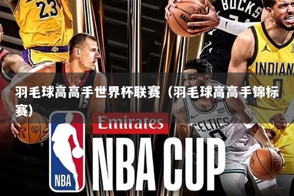 羽毛球高高手世界杯联赛(羽毛球高高手锦标赛)