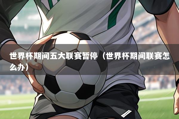世界杯期间五大联赛暂停(世界杯期间联赛怎么办)