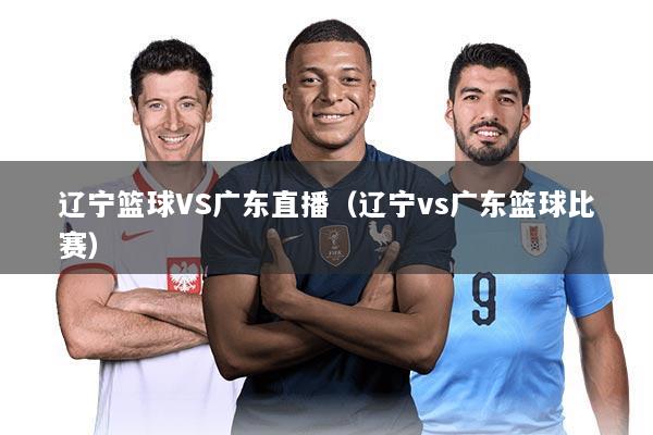 辽宁篮球VS广东直播（辽宁vs广东篮球比赛）